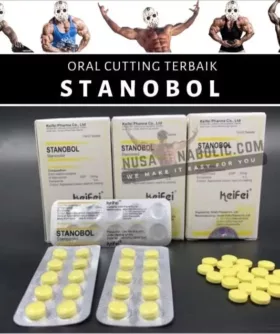 Stanobol Stano Stanozolol 100tabs Keifei